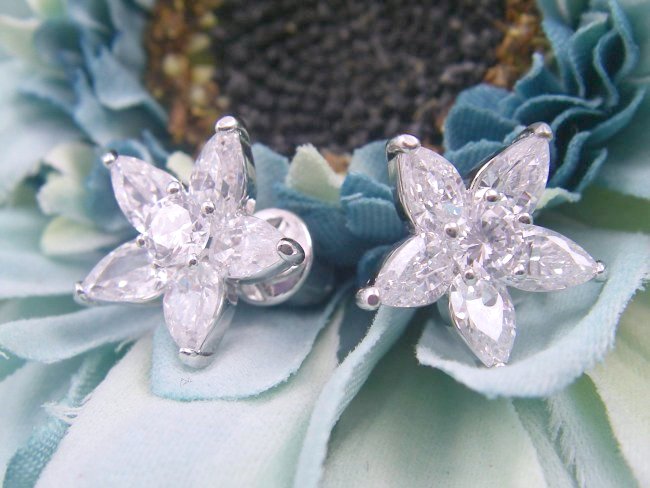 �t�����[���`�[�t�@�L���[�r�b�N�W���R�j�A�̃C�������O