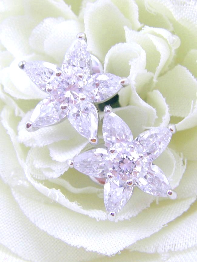 �t�����[���`�[�t�@�L���[�r�b�N�W���R�j�A�̃C�������O