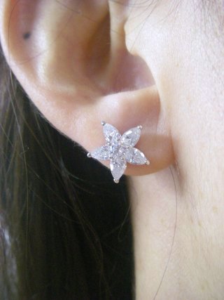 �t�����[���`�[�t�@�L���[�r�b�N�W���R�j�A�̃C�������O