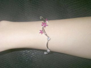 cz �u���X���b�g