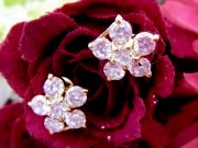 CZ�@�L���[�r�b�N�W���R�j�A�@�s�A�X