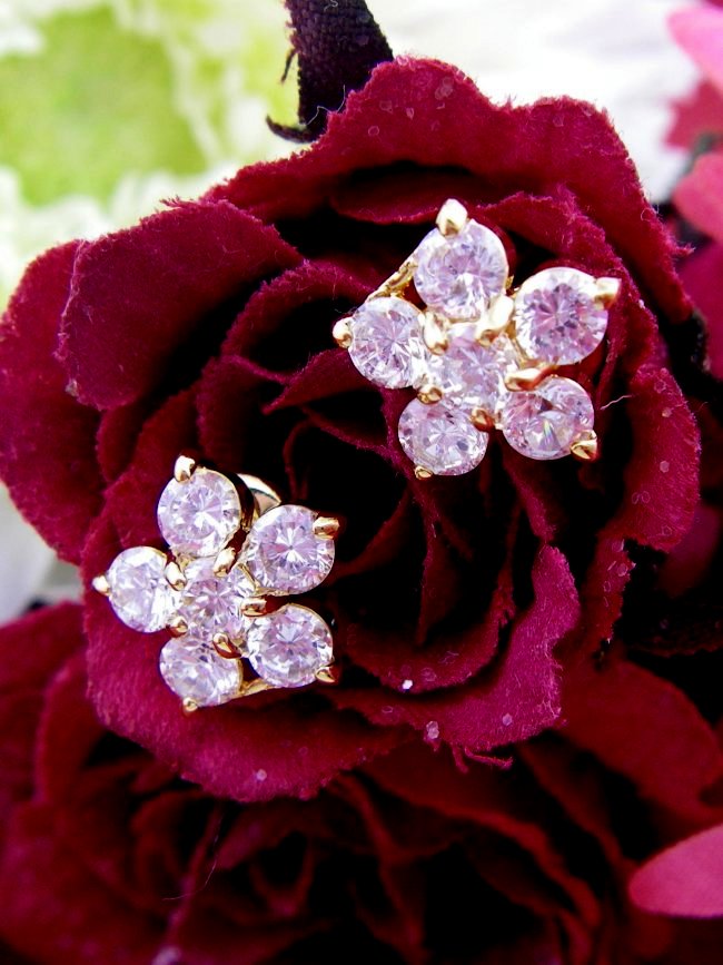 CZ�@SV�L���[�r�b�N�W���R�j�A�@�s�A�X