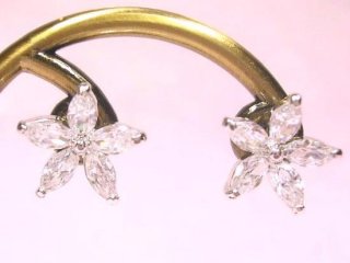 CZ�A�N�Z�T���[�@�L���[�r�b�N�W���R�j�A�̃s�A�X