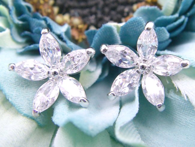 �t�����[���`�[�t�@�L���[�r�b�N�W���R�j�A�̃C�������O