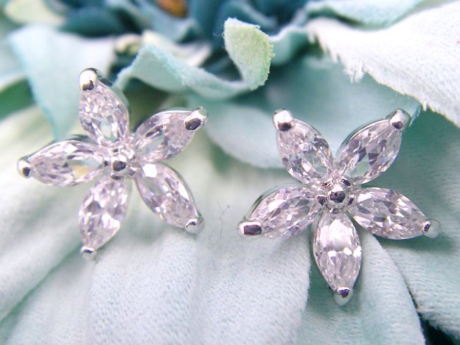 �t�����[���`�[�t�@�L���[�r�b�N�W���R�j�A�̃C�������O