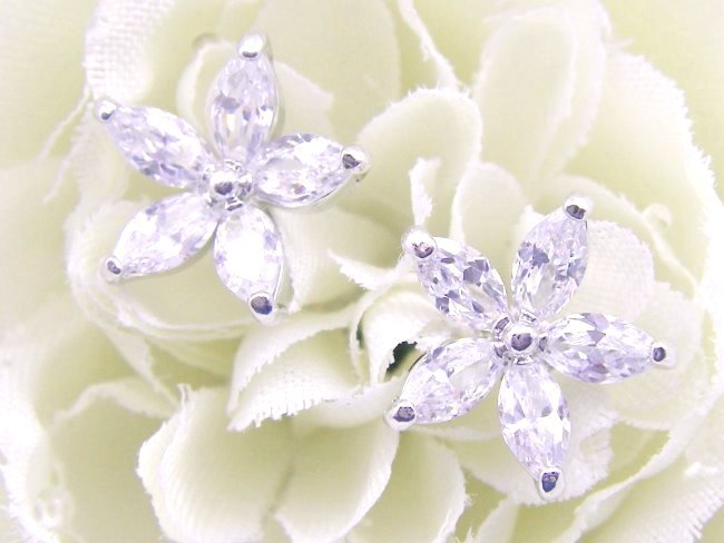 �t�����[���`�[�t�@�L���[�r�b�N�W���R�j�A�̃C�������O