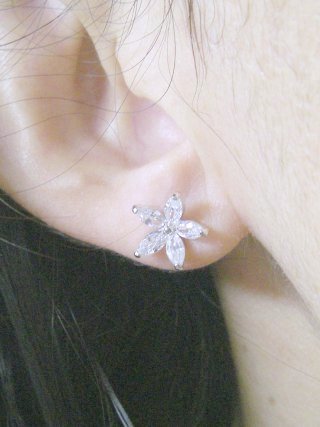 �t�����[���`�[�t�@�L���[�r�b�N�W���R�j�A�̃C�������O