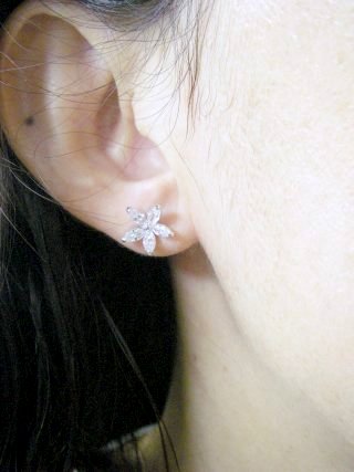 �t�����[���`�[�t�@�L���[�r�b�N�W���R�j�A�̃C�������O