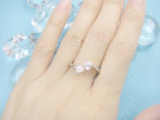 �L���[�r�b�N�W���R�j�A�@�n�[�g�̃����O