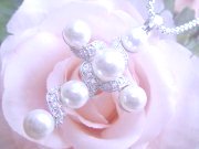 CZ�@�L���[�r�b�N�W���R�j�A�@�}�W�����J�p�[���@�y���_���g�@�N���X