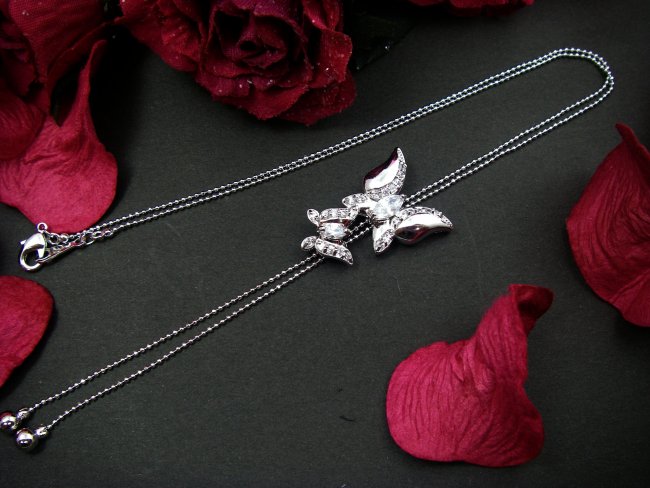 �L���[�r�b�N�W���R�j�A�@�o�^�t���C���`�[�t�@�l�b�N���X