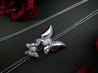 �L���[�r�b�N�W���R�j�A�@�o�^�t���C���`�[�t�@�l�b�N���X