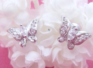 �o�^�t���C���`�[�t�@CZ�A�N�Z�T���[�@�C�������O�@�s�A�X