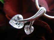 �L���[�r�b�N�W���R�j�A�̃y���_���g