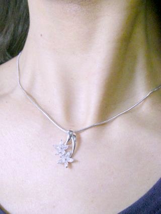 �t�����[���`�[�t�@�L���[�r�b�N�W���R�j�A�̃X���C�h�E�y���_���g