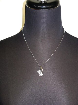 �T�t�@�C���@�L���[�r�b�N�W���R�j�A�@�y���_���g