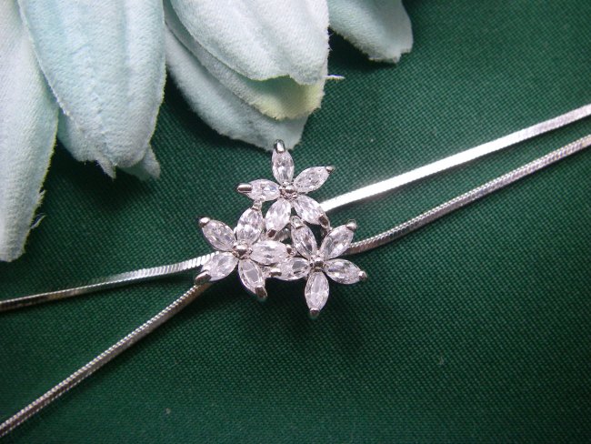 �t�����[���`�[�t�@�L���[�r�b�N�W���R�j�A�̃X���C�h�E�l�b�N���X