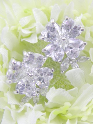 �t�����[���`�[�t�@�L���[�r�b�N�W���R�j�A�@�s�A�X