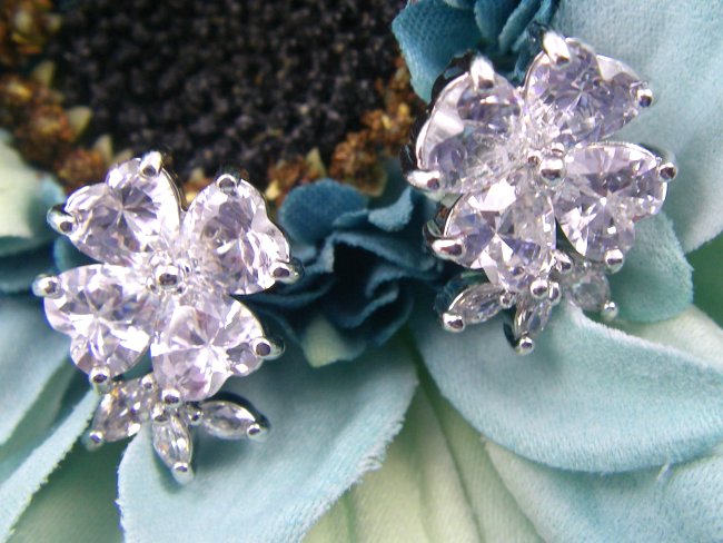 �t�����[���`�[�t�@�L���[�r�b�N�W���R�j�A�@�s�A�X