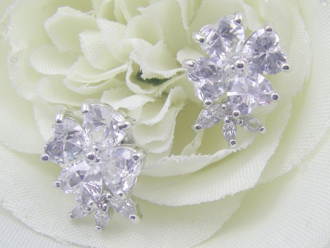 �t�����[���`�[�t�@�L���[�r�b�N�W���R�j�A�@�s�A�X