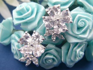 �t�����[���`�[�t�@�L���[�r�b�N�W���R�j�A�@�s�A�X