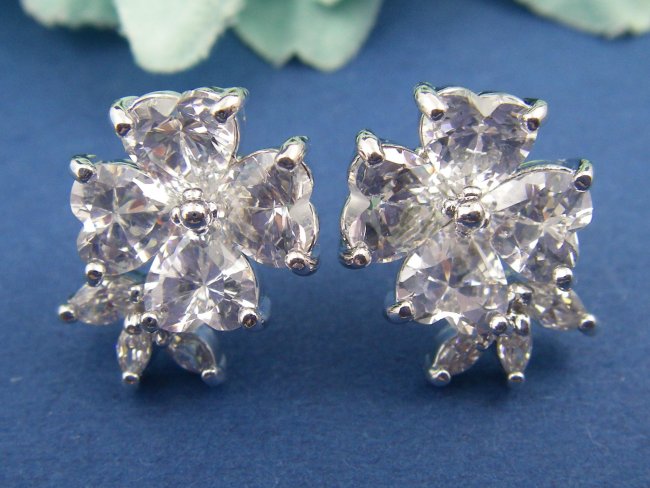 �t�����[���`�[�t�@�L���[�r�b�N�W���R�j�A�@�s�A�X