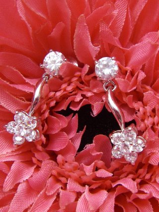 CZ�@SV�L���[�r�b�N�W���R�j�A�@�s�A�X�@�C�������O�@�t�����[���`�[�t