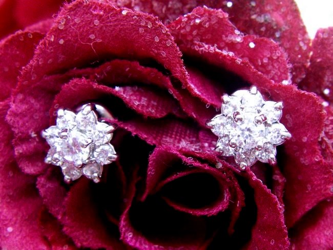 CZ�@SV�L���[�r�b�N�W���R�j�A�@�C�������O