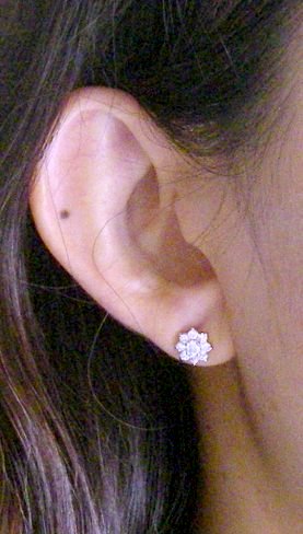 CZ�@SV�L���[�r�b�N�W���R�j�A�@�C�������O