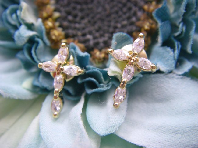 �h�C�c���@�L���[�r�b�N�W���R�j�A�̃N���X�̃C�������O