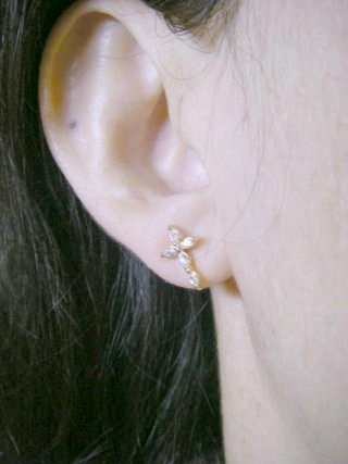 �h�C�c���@�L���[�r�b�N�W���R�j�A�̃N���X�̃C�������O