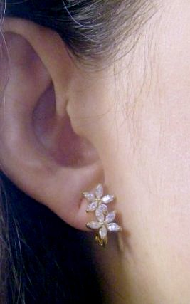 CZ�@SV�L���[�r�b�N�W���R�j�A�̃s�A�X�@�t�����[���`�[�t