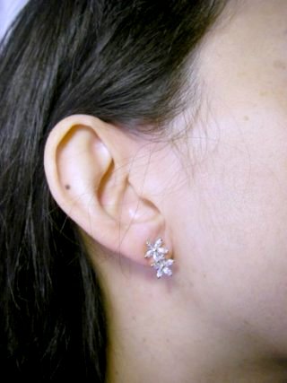 CZ�@SV�L���[�r�b�N�W���R�j�A�̃s�A�X�@�t�����[���`�[�t