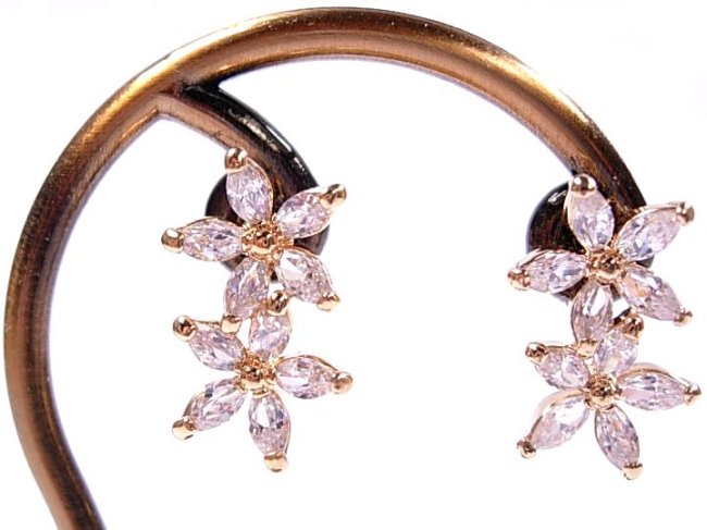 CZ�@SV�L���[�r�b�N�W���R�j�A�̃s�A�X�@�t�����[���`�[�t