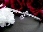 SV�L���[�r�b�N�W���R�j�A�@�o���O��