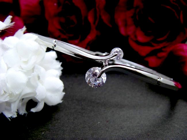 CZ�A�N�Z�T���[�@�u���X���b�g