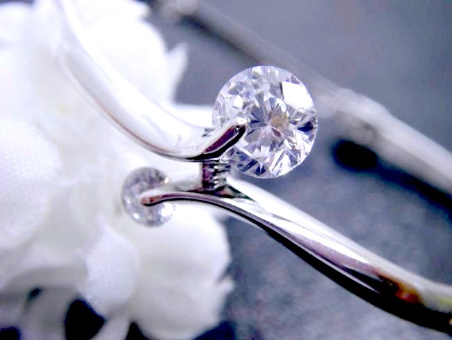 CZ�A�N�Z�T���[�@�u���X���b�g