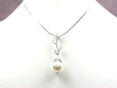 �L���[�r�b�N�W���R�j�A�ƃ}�W�����J�E�p�[���̃y���_���g