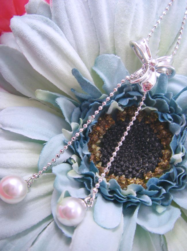 ���{�����`�[�t�@�p�[���ƃL���[�r�b�N�W���R�j�A�̃l�b�N���X