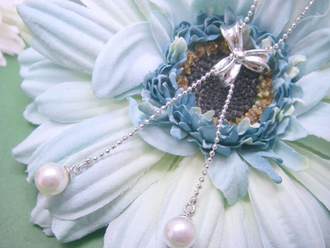 ���{�����`�[�t�@�p�[���ƃL���[�r�b�N�W���R�j�A�̃l�b�N���X