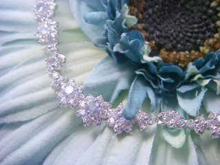 �t�����[���`�[�t�@CZ�A�N�Z�T���[�@�l�b�N���X