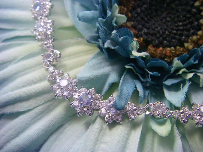 �t�����[���`�[�t�@CZ�A�N�Z�T���[�@�l�b�N���X