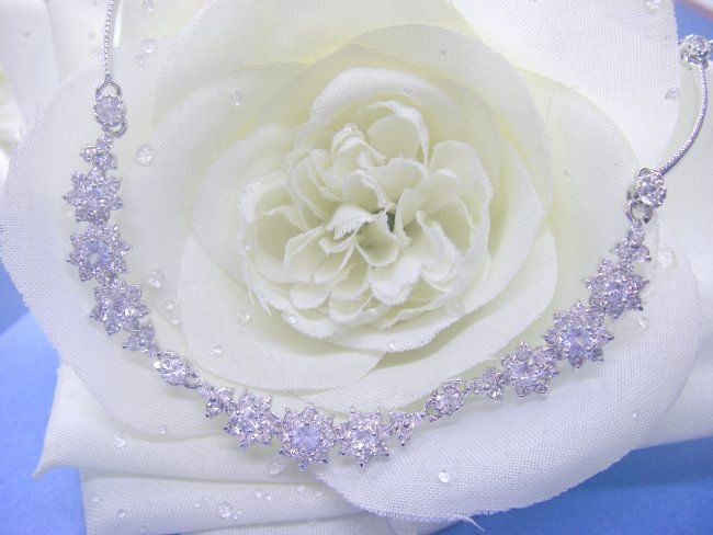 �t�����[���`�[�t�@CZ�A�N�Z�T���[�@�l�b�N���X