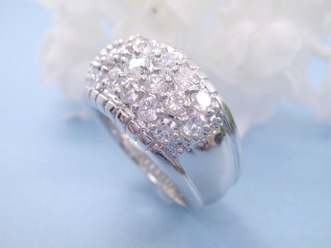 �p���F�E�����O�@CZ�A�N�Z�T���[