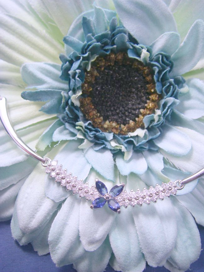 CZ�A�N�Z�T���[�@�l�b�N���X