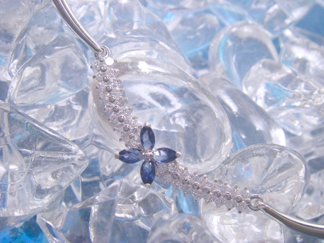 CZ�A�N�Z�T���[�@�l�b�N���X