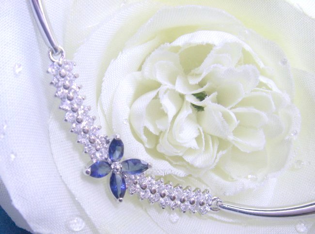 CZ�A�N�Z�T���[�@�l�b�N���X