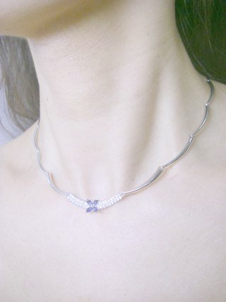 CZ�A�N�Z�T���[�@�l�b�N���X