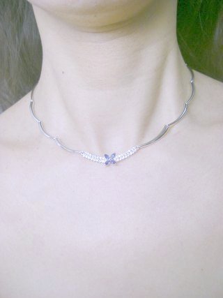 CZ�A�N�Z�T���[�@�l�b�N���X