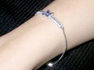 CZ�A�N�Z�T���[�@�t�����[���`�[�t�@�T�t�@�C���@�u���X���b�g